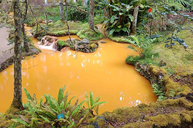 Fire Lagoon, Waterfall Route and Furna Tour - Thermal Baths and Geothermal Treatments at Terra Nostra Park