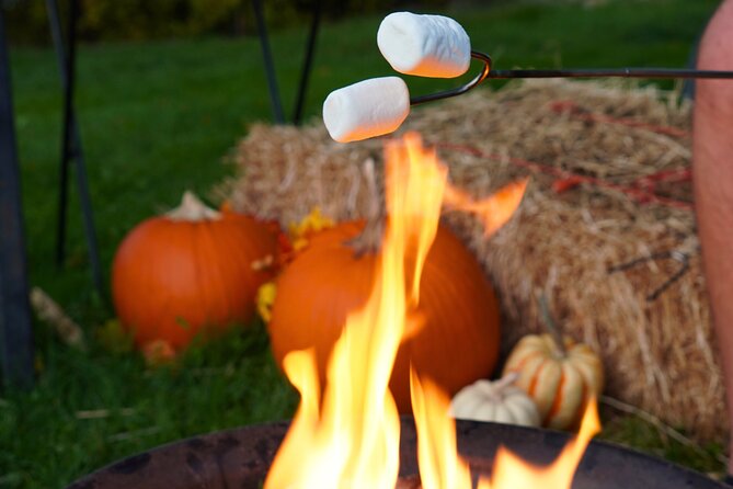 Fireside Warm-Up: Wine Tasting, S'mores & Mulled Wine in Kelowna - Roasting Smores and Warming by the Fire Pits