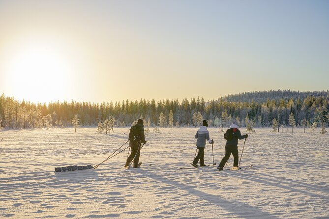 First Arctic Expedition on Altai Skis - Key Points