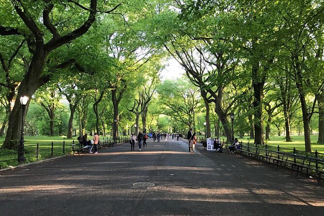 First Class Central Park Tour  Iconic Views & VIP Photo Moments - Scenic Stops for Great Photos and Quiet Moments