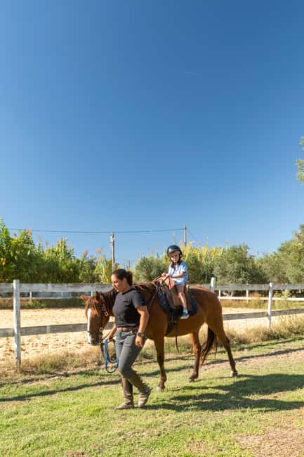 First horseback riding lesson in Moita - The Calm, Peaceful Horses and Riding Environment