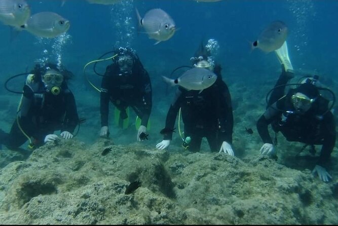 First Time Scuba Dive Adventure, Makronissos, Ayia Napa - The Underwater Experience at Makronissos