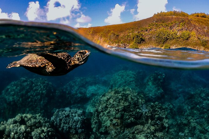 First Timers and Non-Swimmers Snorkeling Experience in Wailea - A Beginner-Friendly Snorkeling Adventure in Wailea for First-Timers and Non-Swimmers