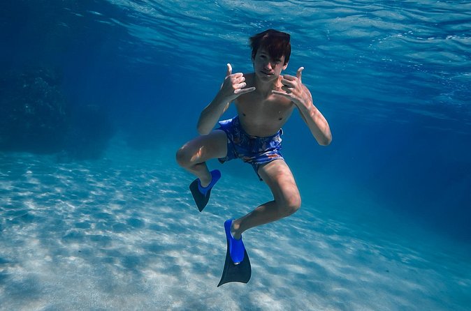 First Timers and Non-Swimmers Snorkeling Experience in Wailea - Equipment Quality and Inclusion