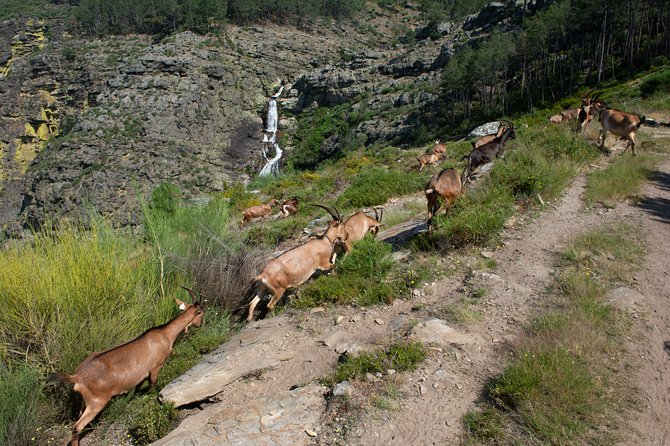 Fisgas de Ermelo Trail - Key Points