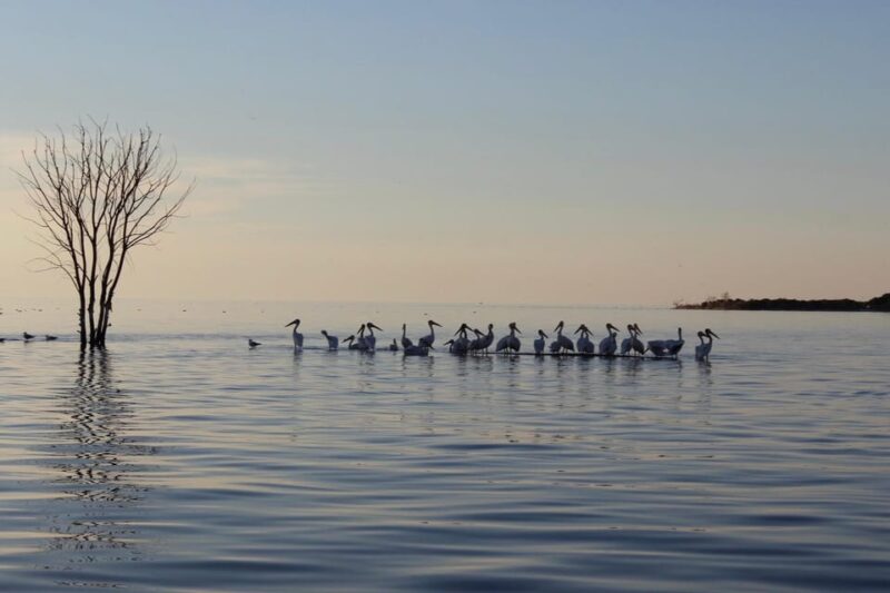 Fish Creek, WI: Sunset Live Music Cruise - Expertly Guided Narration and Musical Performance