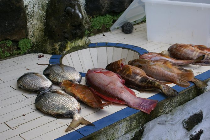 Fish In the Azores - The Intimate Group Setting for a Personalized Experience