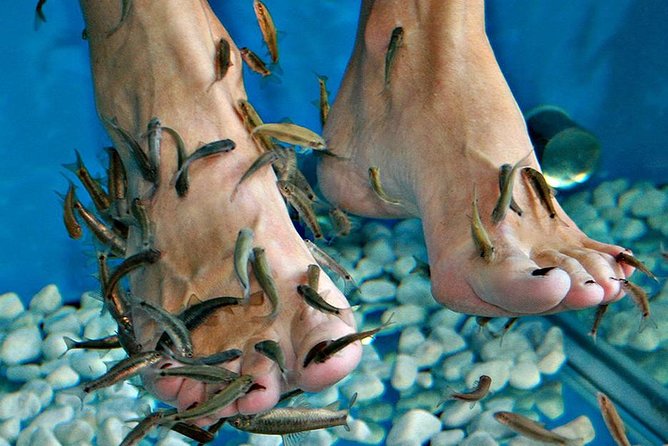 Fish Spa, Beach Break with Lounge Chairs, Umbrellas & Beach Area - The Fish Spa Experience with Red Garra Fish in Cozumel