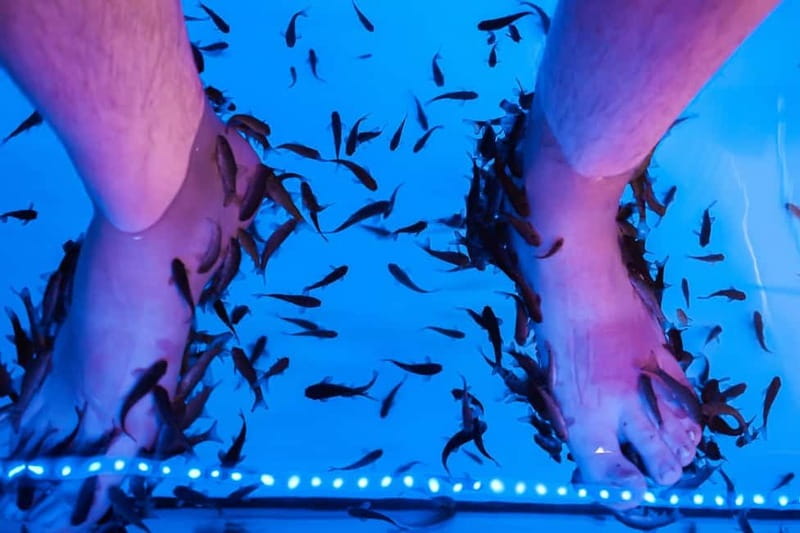 Fish Spa Experience Playa Fañabe - Safety, Hygiene, and Accessibility at Happy Feet Spa