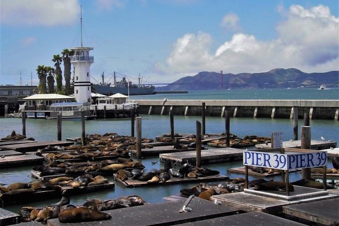 Fisherman's Wharf Walking Tour - Explore San Francisco’s Fisherman’s Wharf with a Trusted Guided Walk