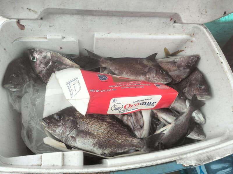 Fishing Adventure with local people - Accessibility and Group Size Benefits