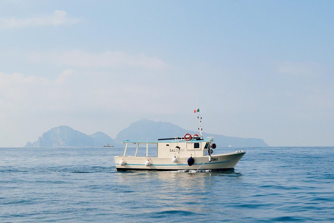 Fishing and Tourism in Capri - Key Points