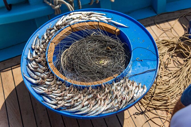 Fishing Experience Around Capri from Sorrento with Lunch Onboard - Exploring Capri or Positano During a 2-Hour Land Stop