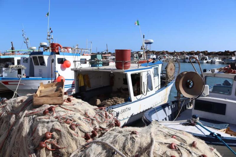 Fishing in Selinunte and lunch with cooking of the catch - Visiting the Selinunte Fish Market After the Trip
