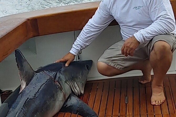 Fishing or Cruising Boston Harbor on Private Yacht Trinacria - Landmarks of Boston’s Sports and Naval History