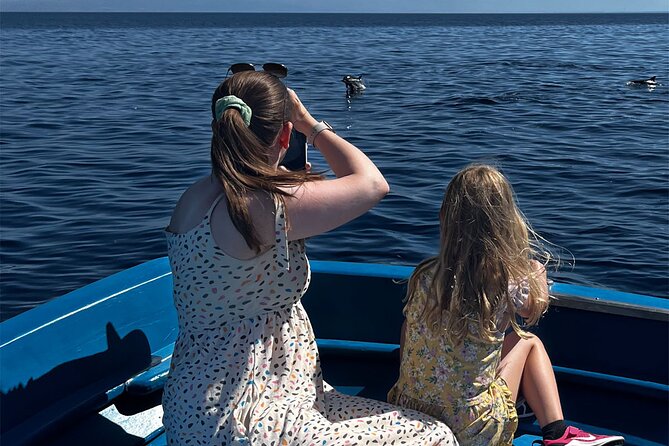 Fishing, Snorkelling & Dolphin Boat Tour - Snorkelling in Calabria’s Clear Waters