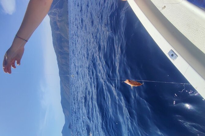 Fishing Tour from Sorrento to Capri - Practicalities: Group Size, Booking, and Weather