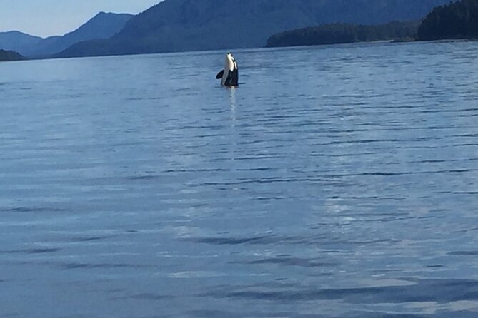 Fishing Whale Watching Hoonah Alaska - Key Points