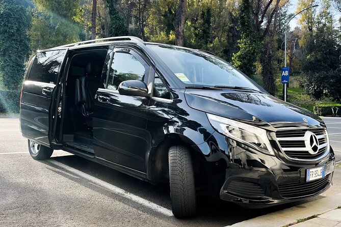Fiumicino Airport (FCO) to Rome - Private Arrival Transfer - Reviews Highlighting Service Quality and Reliability