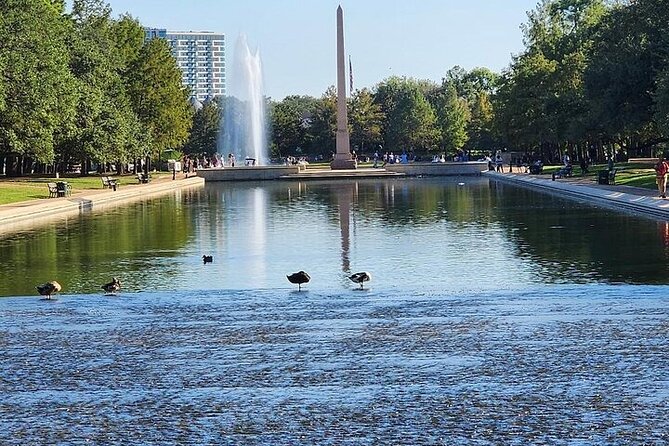 Five Hour Garden Tour - Best Timing for the Garden Tour in Houston