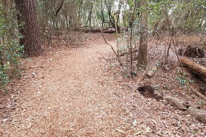 Five Hour Garden Tour - Limitations and Considerations