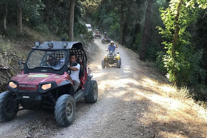 five sense outdoor experience - Discovering Monte Pispisa Forest and the Surroundings