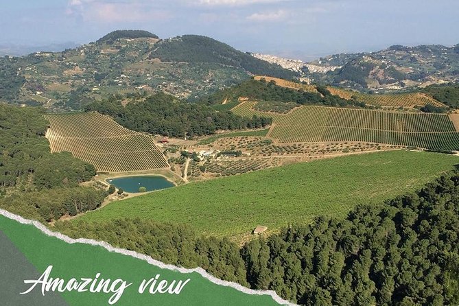 five sense outdoor experience - Scenic Views of the Gulf and the Egadi Islands