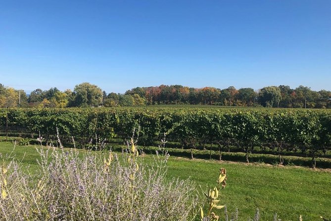 Fixed Price :- Private Transfers Niagara falls Hotel OR Pearson Toronto Airport - Why Choose This Private Transfer Service?