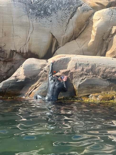 Fjällbacka: Seaweed Picking and SUP Paddling Tour - Discovering Seaweed Species and Environmental Roles