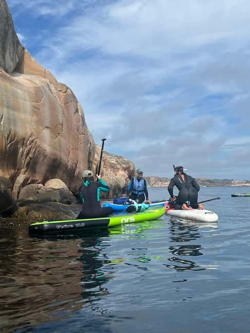 Fjällbacka: Seaweed Picking and SUP Paddling Tour - Equipment and Supplies Provided and What to Bring