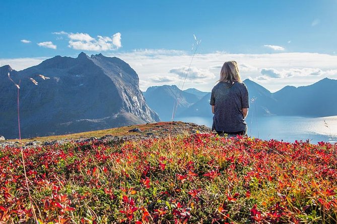 Fjord Expedition: Arctic Adventure Awaits - The Itinerary: Fjords, Peaks, and Villages