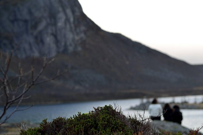 Fjord Expedition: Arctic Adventure Awaits - Guides and Guest Experience