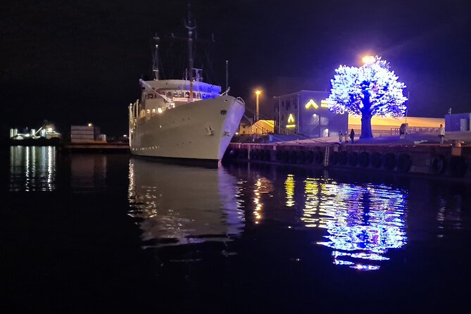 Fjord Houseboat Cruise in Oslo. 100 % electric. BYO - Scenic Stops: Sculpture Park and Marina