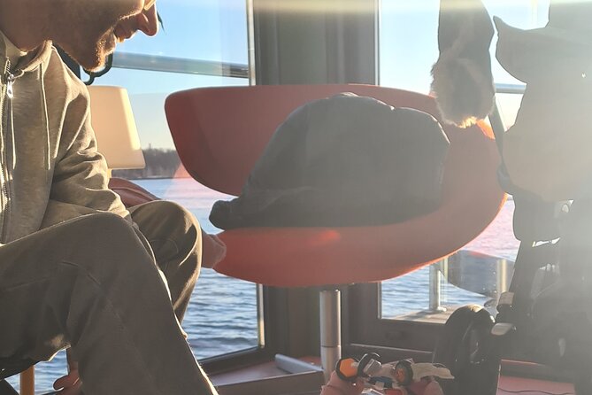 Fjord Houseboat Cruise in Oslo. 100 % electric. BYO - The Experience: Expert Guidance or Quiet Serenity