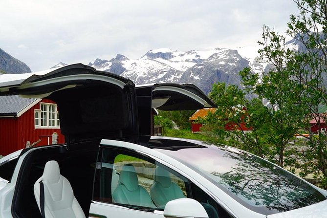 Fjord Sightseeing - Eco friendly Tesla Model X - Key Points