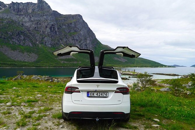 Fjord Sightseeing - Eco friendly Tesla Model X - The Guide and Personal Experience Quality