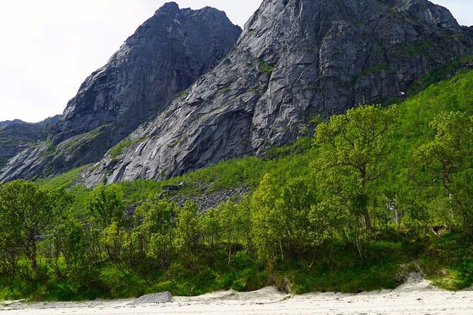 Fjord Sightseeing - Eco friendly Tesla Model X - Flexibility and Cancellation Policy