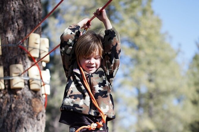 Flagstaff Extreme Adventure Course-Adult Course - The Perfect Audience for This Adventure
