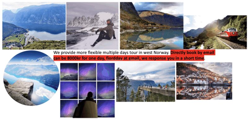 Flåm Flexible Tour with Stegastein, cruise and train include - Starting Point: Bergen and the Private Pickup Service