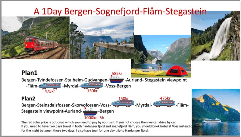 Flåm Flexible Tour with Stegastein, cruise and train include - Visiting Stegastein Viewpoint and Nearby Attractions
