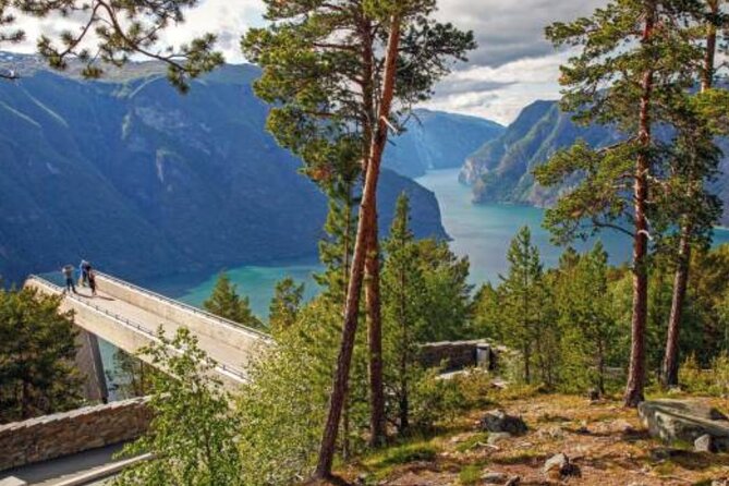 Flam: The Spectacular Stegastein Viewpoint Tour (Small Group) - Comparing This Tour to Other Scenic Options