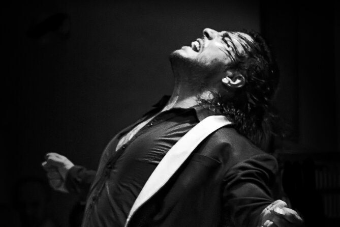 Flamenco Live Show and Dinner in Mexico City - Key Points