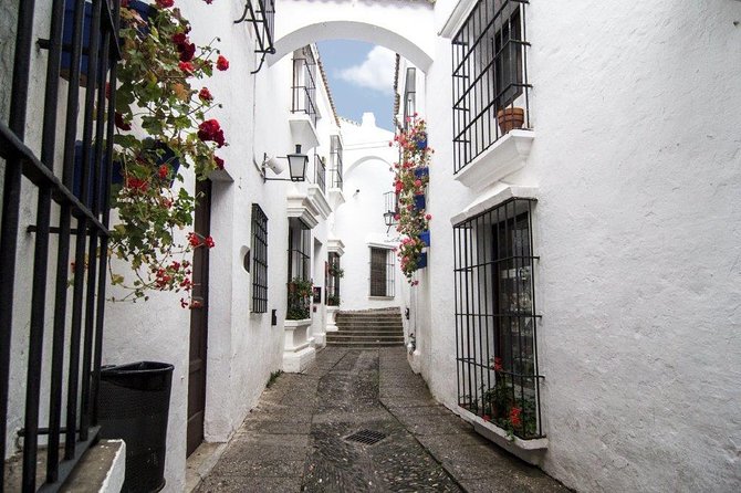 Flamenco Night at Tablao de Carmen with Tasting Menu or Dinner - Accessibility and Practical Tips