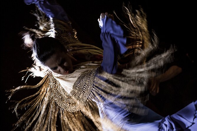 Flamenco Show at Café Ziryab: Madrid - Key Points