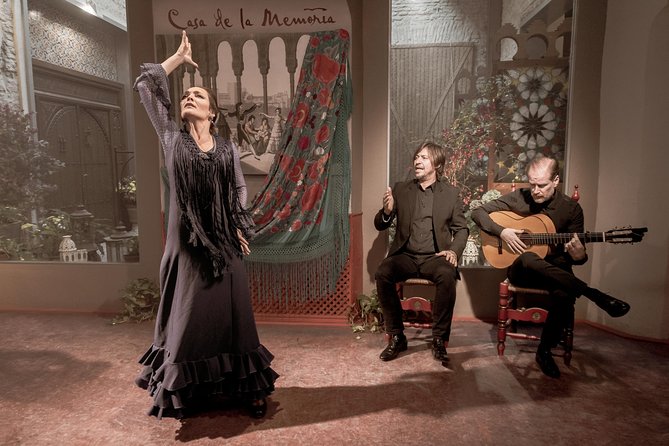 Flamenco Show at Casa de la Memoria Admission Ticket - The Performers: Skills, Costumes, and Expressions