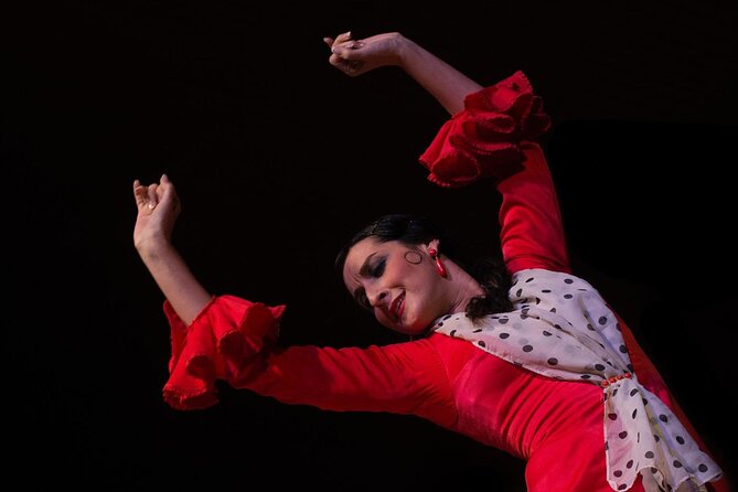 Flamenco Show in Cueva Zincalé - The Performance: Music, Singing, and Dancing