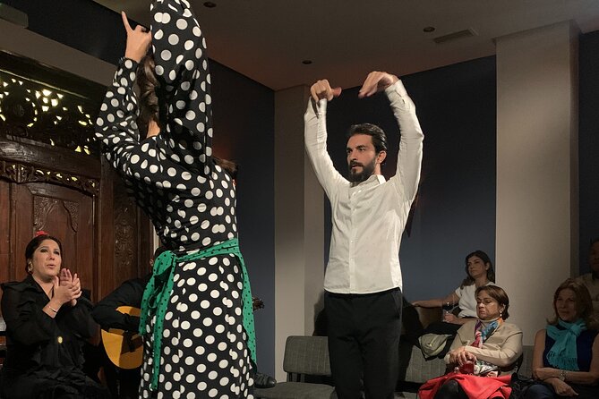 Flamenco show in the heart of Triana - Practical Details and Accessibility