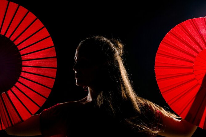 Flamenco show & tasting Tapas with panoramic views in Madrid - Scenic Madrid District and Historic Walls