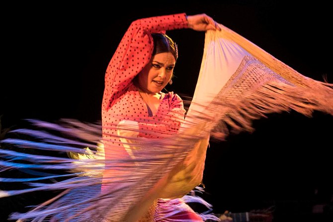 Flamenco Show Ticket at Theatre Barcelona City Hall - Practical Tips for Attending