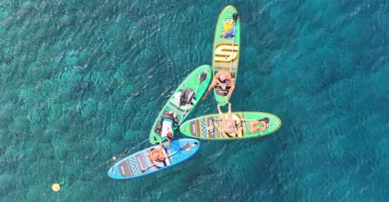 Flamingo Beach: Guided SUP and Snorkeling experience - Discover the Best of Flamingo Beach with Guided SUP and Snorkeling